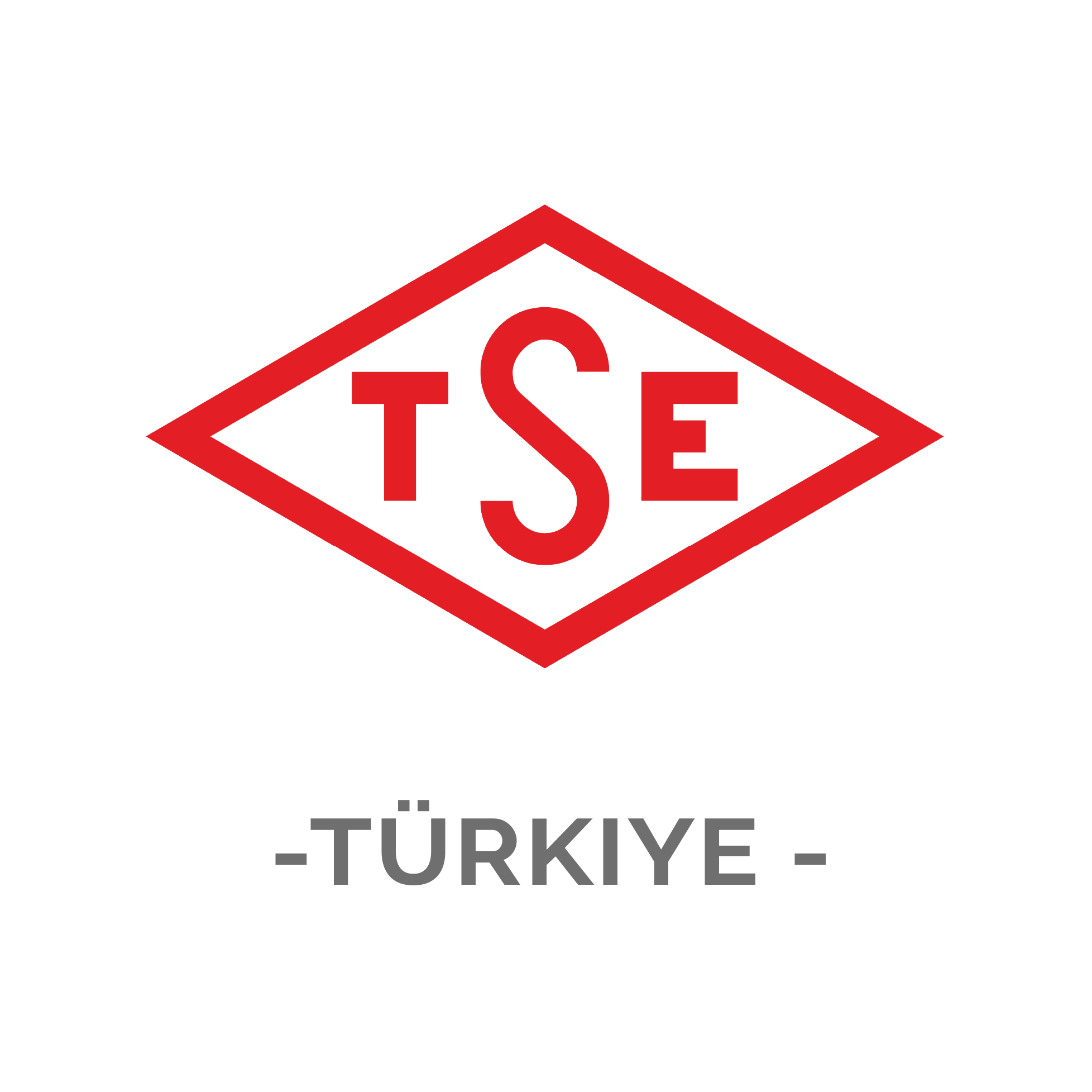 TSE